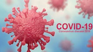 Brief-Data-About-Coronavirus
